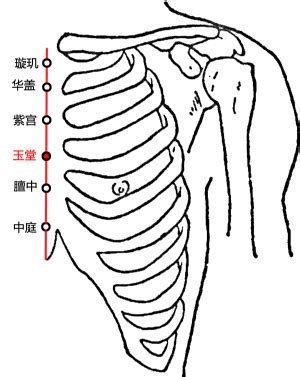 玉穴|玉堂穴位置 